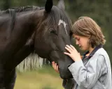 Wzruszająca scena z filmu o koniach: dziewczynka przytula się do ciemnego konia, czując jego ciepło i siłę.