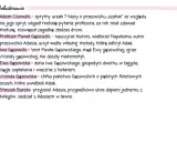 Adam Cisowski, sprytny uczeń z siódmej klasy, zwany "szatanem" za swój spryt. Rozwiązał zagadkę złodziei drzwi.