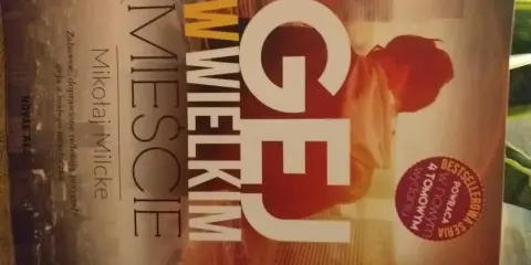 Książki o gejach: "Gej w wielkim mieście" Mikołaja Milcke to zabawne, doprawione refleksją przygody geja z małego miasteczka.