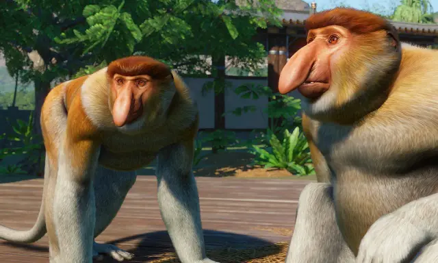 Dwa nosacze, bohaterowie gry zoo, pozują na drewnianej platformie.