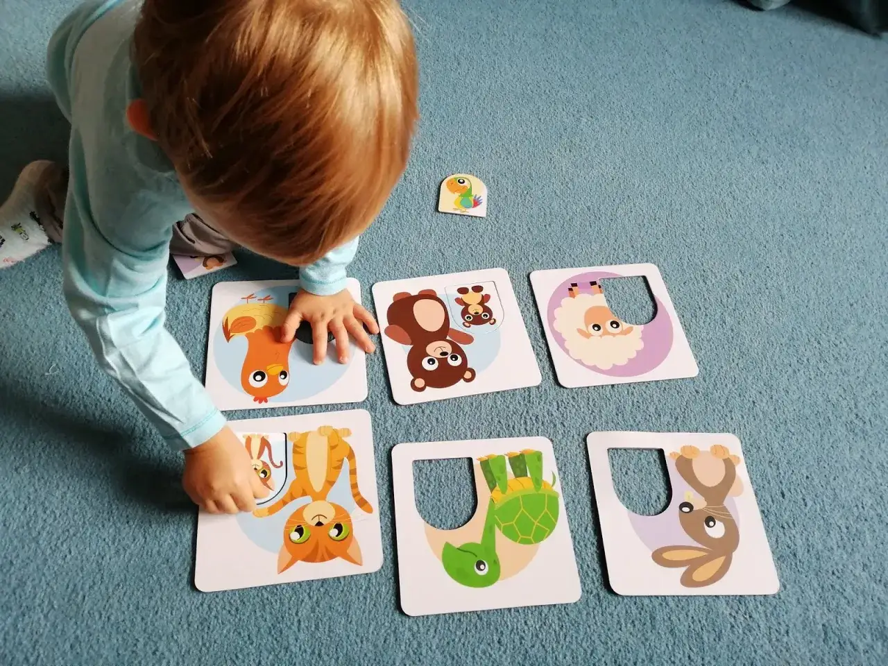 Małe dziecko układa puzzle dla 6 latka. Ile elementów? Na kartach zwierzątka: kurczak, kot, miś, owca, żółw, królik.