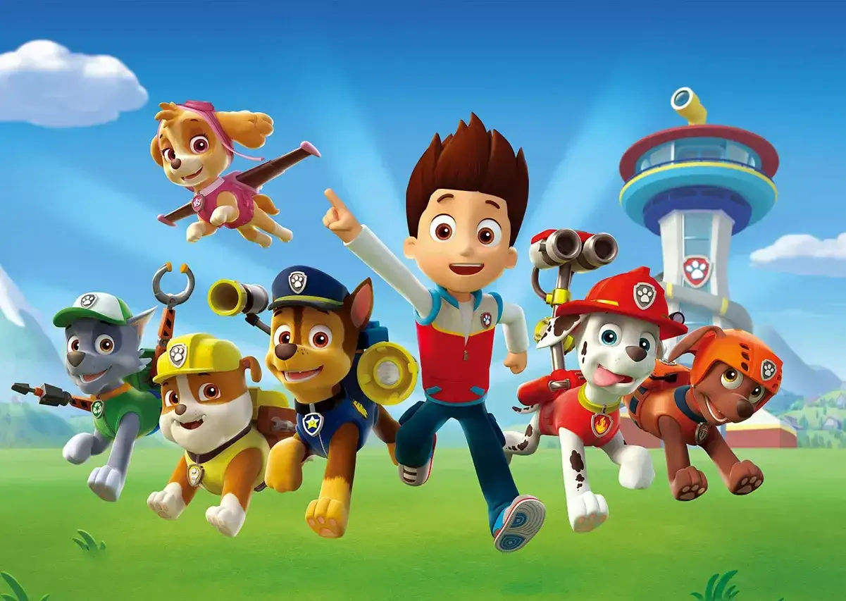 Psi Patrol gotowi do akcji! Ryder i jego dzielne psiaki: Chase, Marshall, Skye, Rocky, Rubble i Zuma pędzą na ratunek.