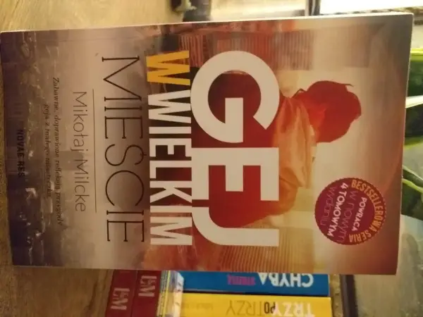 Książki o gejach: "Gej w wielkim mieście" Mikołaja Milcke to zabawne, doprawione refleksją przygody geja z małego miasteczka.